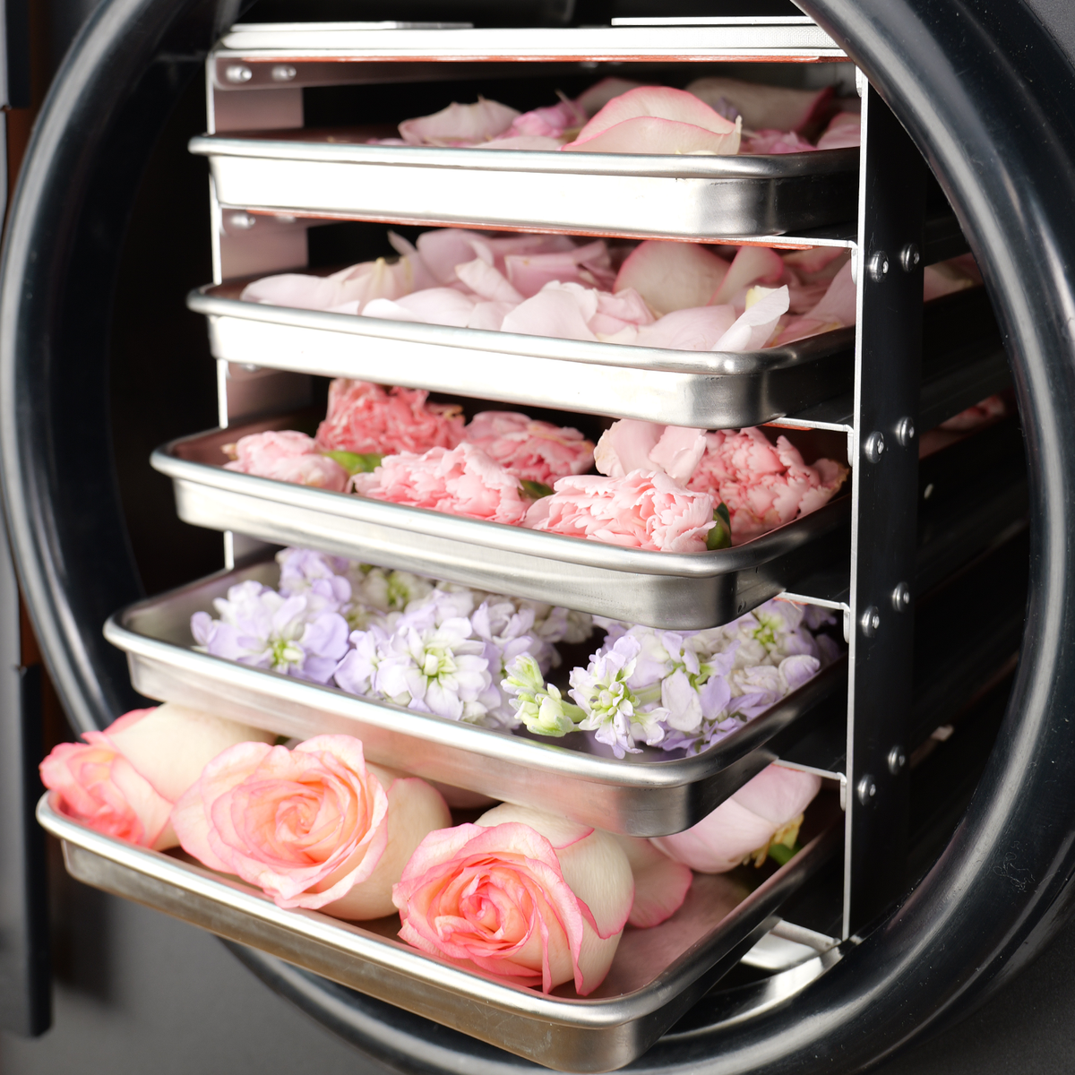 Dalle DFD-40 Commercial Freeze Dryer