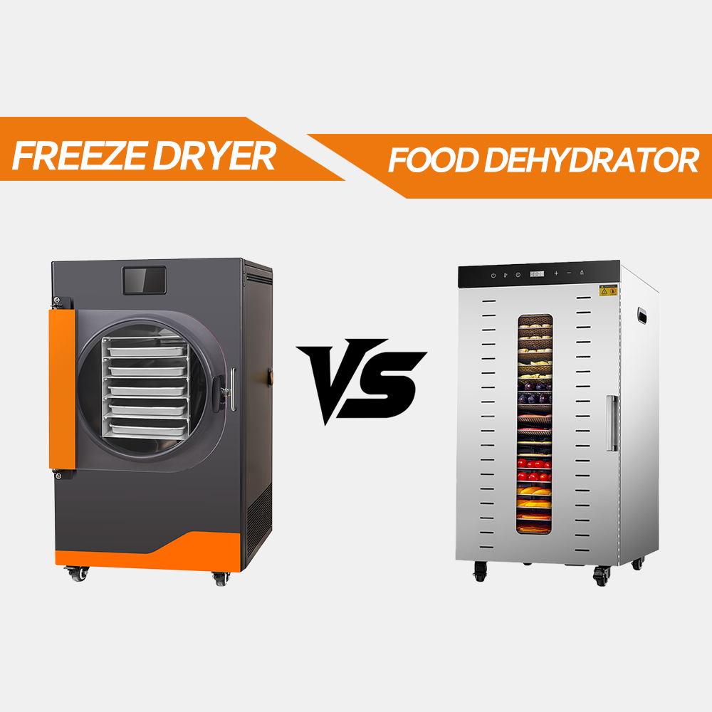 Freeze Dryer vs Dehydrator: A Complete Comparison Guide