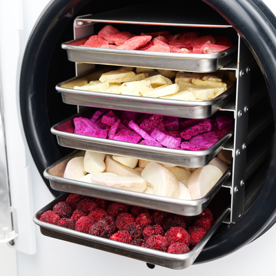 Dalle DFD-06 Home Freeze Dryer